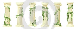Cartoon ancient roman pillars. Antique ivy-covered classic greek columns with climbing ivy branches flat vector illustration set