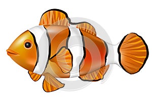 Cartoon anemonefish. Clown fish Nemo. Vector illustration