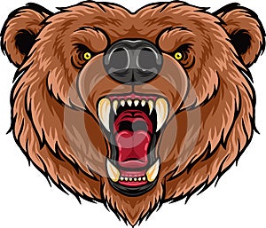 Cartoon angry bear head mascot design