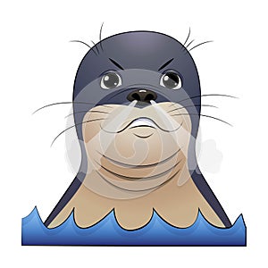 Cartoon angry seal animal character