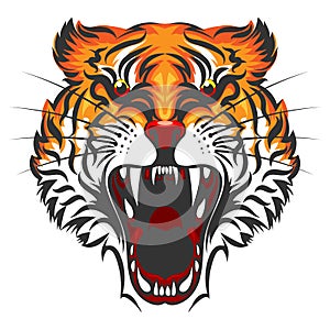 Angry Tiger Face Illustration