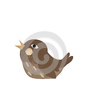 Cartoon animal bird robin isolated illustration