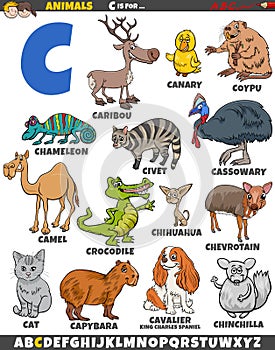 cartoon animal characters for letter C educational set