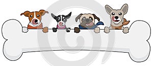 Cartoon animal dog cute  with bone illustration animals pet baby funny
