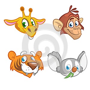 Cartoon animal head icons collection. Vector set of wild animals including giraffe, chimpanzee monkey, tiger and koala bea