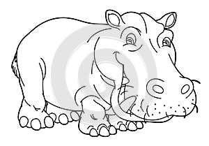Cartoon animal - hippo - caricature - coloring page