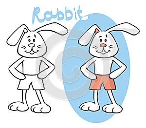 Cartoon animal rabbit