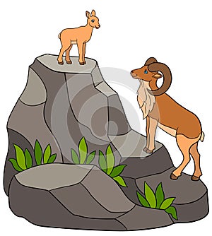 Cartoon animals. Cute beautiful urial with great horns