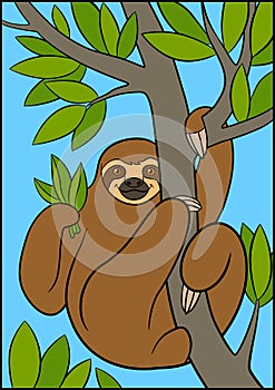 Cartoon animals. Cute lazy sloth hangs on the tree branch