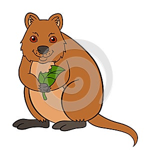 Cartoon animals. Little cute quokka with leaf