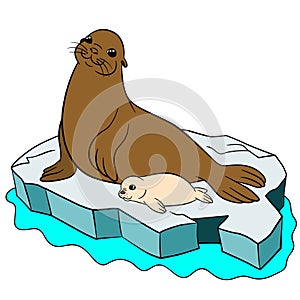 Cartoon animals. Mother fur seal with her cute white-coat baby.