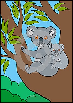 Cartoon animals. Mother koala sits with her little cute baby.