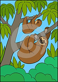 Cartoon animals. Mother sloth and her little cute baby hang on the tree branch