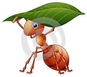 Cartoon ant holding a green leaf