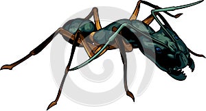 Cartoon ant warrior