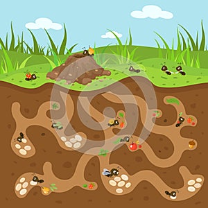 Cartoon anthill illustration. Cute tiny ants working and moving. Forest or garden wildlife, underground passages and