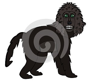 Cartoon ape baboon on white background is insulated