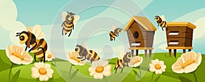 Cartoon apiary. Honey bees fly around hives and blooming flowers at flower meadow vector illustration