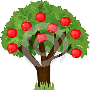 Cartoon apple tree with green crown and ripe red apples isolated on white