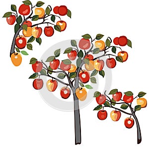 Cartoon Apple Tree with Juicy, Ripe Apples simple style