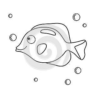 Cartoon aquarium fish. Coloring book with inhabitants sea. Vector character and water bubbles. A simple game for kids. Ocean page