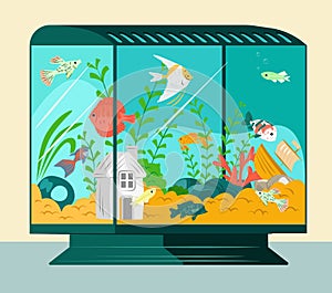 Cartoon aquarium fish swim in blue water, vector illustration. Life decorative tropical animals, beautiful sea nature at