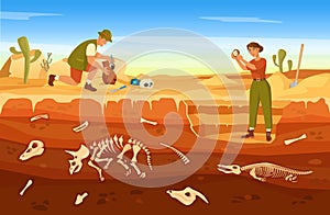 Cartoon archaeological excavation, archaeologists discovering ancient artifacts. Paleontologist finding fossils at dig