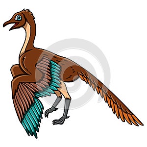Cartoon archaeopteryx isolated on white background