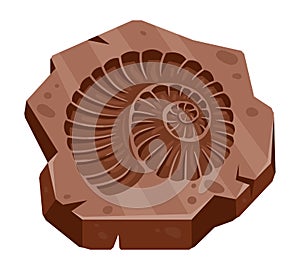 Cartoon archeology ammonite fossil, ancient seashell. Palaeontology ocean fauna print, archeology excavation ammonite artefact photo