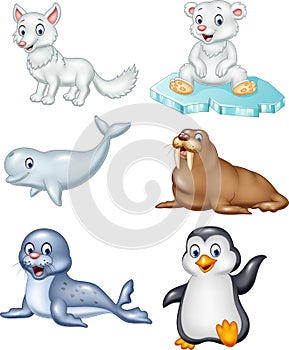 Cartoon arctic animals collection set