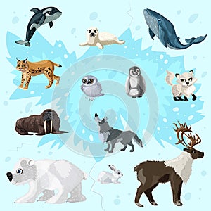 Cartoon Arctic Fauna Set