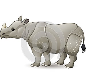 Cartoon Asian rhinoceros isolated on white background