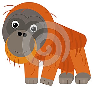 cartoon asian scene with asian animal monkey ape orangutan isolated illustration for children