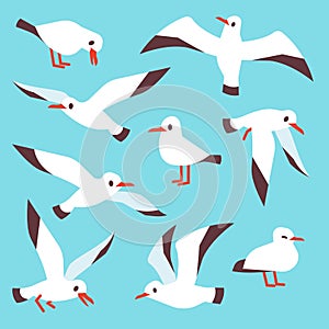 Cartoon atlantic seabird, seagulls flying in blue sky vector set