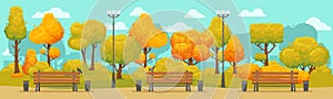 Cartoon autumn park panorama. Autumnal city parks road with yellow and red trees. Fall street tree panoramic vector