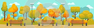 Cartoon autumn park panorama. Autumnal city parks road with yellow and red trees. Fall street tree panoramic vector background