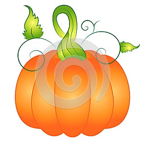 Cartoon Autumn Pumpkin Vector Illustration Clipart