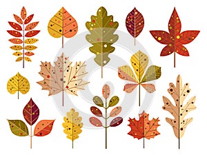 Cartoon Autumn Tree Leaves and Fall Foliage