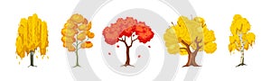 Cartoon autumn tree set. Aspen, birch, oak, maple, willow wood plants with leaf. Green big planting trees for garden forest park