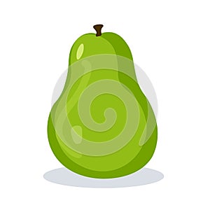 Cartoon avocado or alpukat fruit vector illustration, alligator pear or butter pear flat icon design template elements