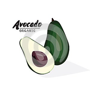 Cartoon avocado. Ripe green fruit. Vegetarian delicious. Eco org
