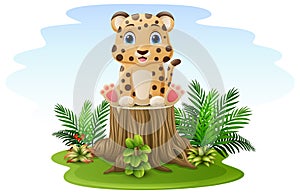 Cartoon baby cheetah sitting on tree stump