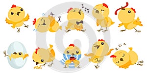 Cartoon baby chicken. Funny little birds. Easter character. Chick hatched from egg. Yellow mascot with different