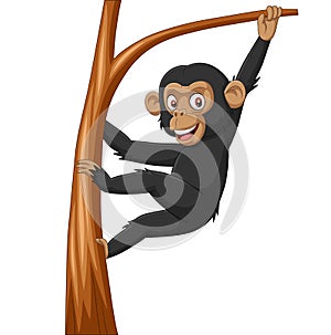 Cartoon baby chimpanzee hanging in tree branch