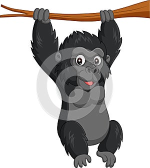 Cartoon baby gorilla hanging in tree branch