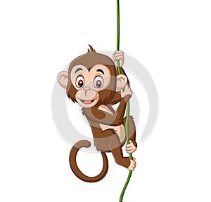 Cartoon baby monkey hanging on a tree branch