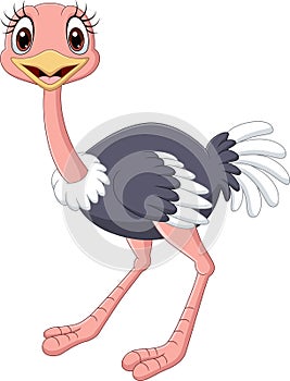 Cartoon baby ostrich isolated on white background