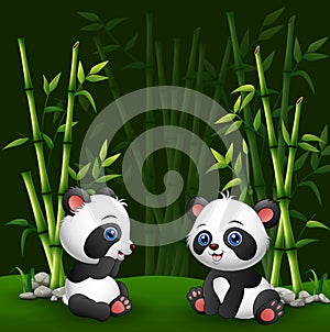 Cartoon baby panda in the jungle bamboo