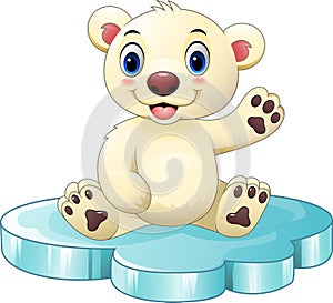 Cartoon baby polar bear sitting on floe