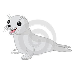 Cartoon baby seal on white background